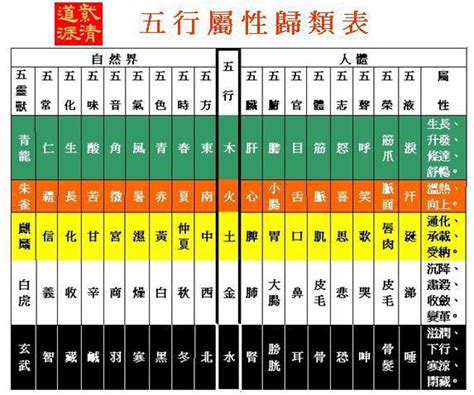 醫療 五行 屬性